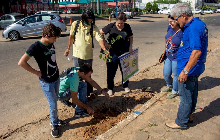 Secretaria do Ambiente de Itaperuna realiza arborização urbana do calçadão