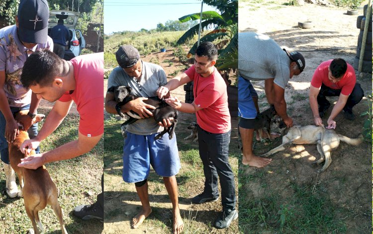 Itaperuna segue com a campanha de vacinação antirrábica