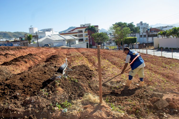 Prefeito de Itaperuna fala sobre o ‘Programa Mãos à Horta’