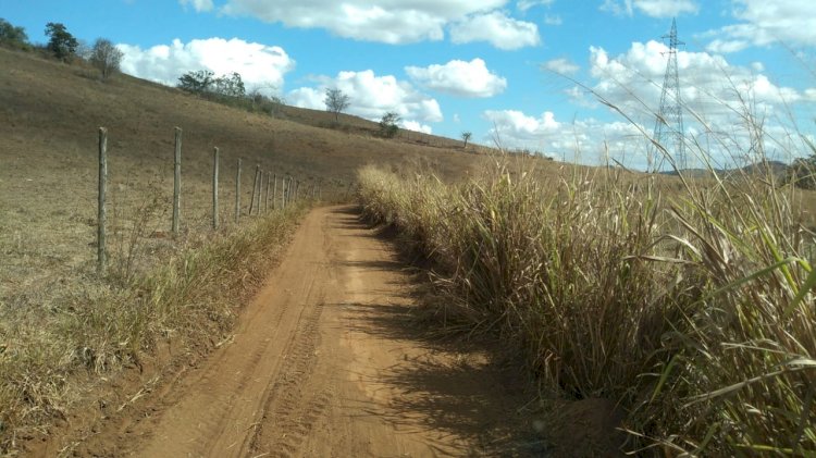 Secretária de Agricultura de Itaperuna acompanha equipe de trabalho no Morro Azul