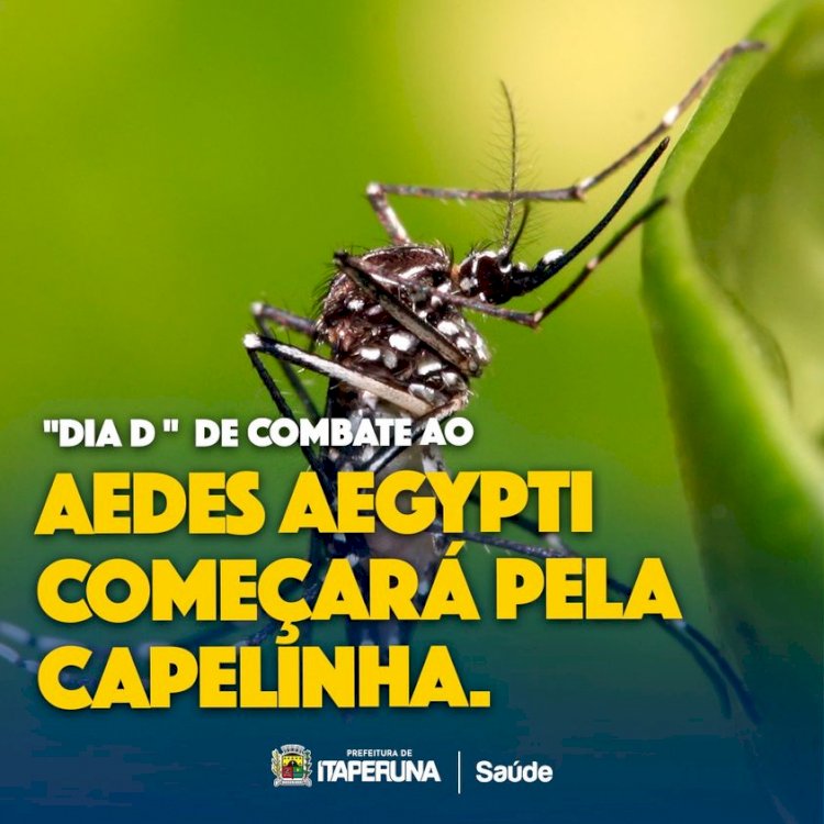 "Dia D" de combate ao Aedes aegypti começará pela Capelinha.