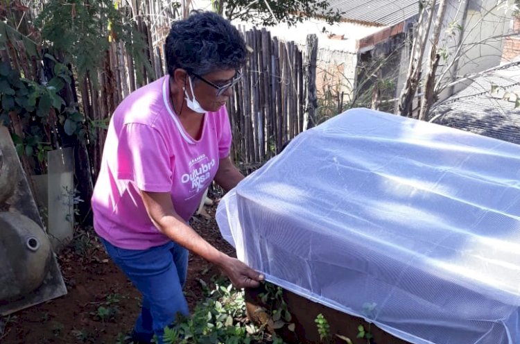 CVAS Itaperuna alerta: no inverno a atenção contra o mosquito deve ser redobrada!