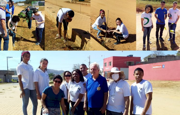 Secretaria do Ambiente de Itaperuna realiza arborização urbana do calçadão