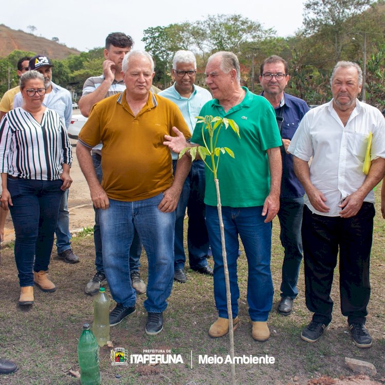 Dia da Árvore  é comemorado com plantio de mudas .