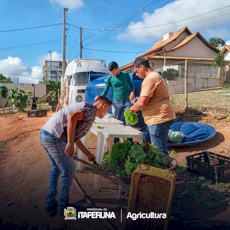 Programa Mãos à Horta realça a paisagem em Itaperuna.