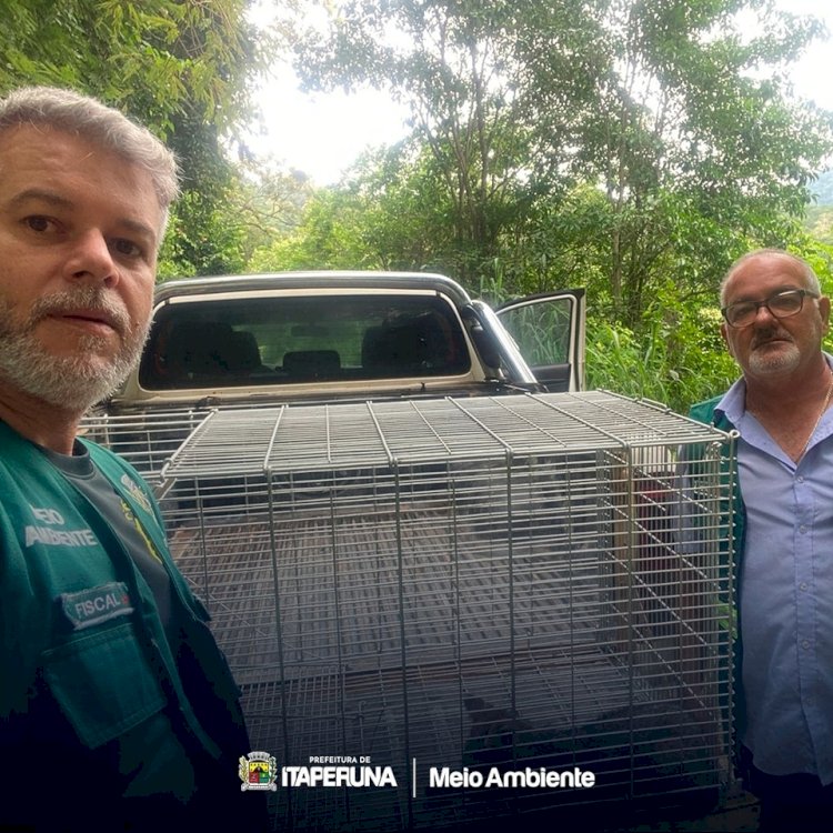 Técnicos da Secretaria do Ambiente realizam a soltura de cachorro do mato.