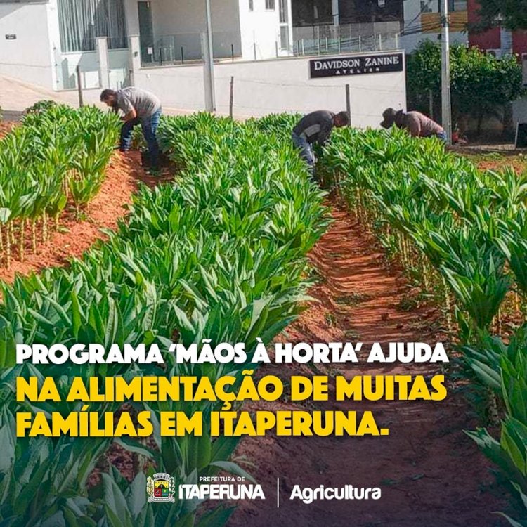 Programa ‘Mãos à Horta’ ajuda na alimentação de muitas famílias em Itaperuna.