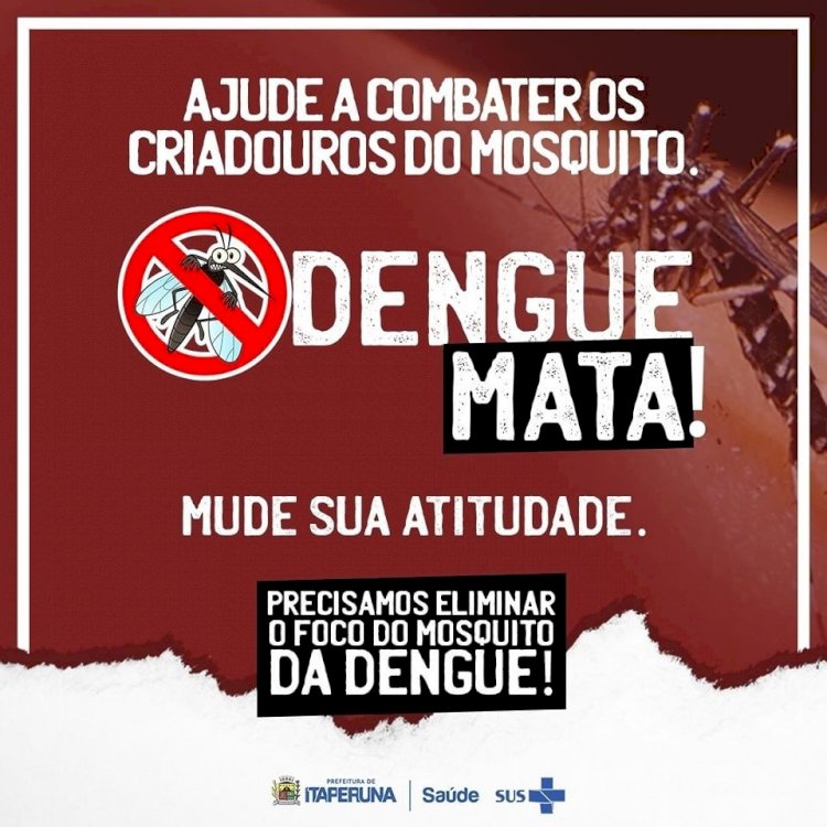 Aqui o Aedes aegypti não se cria!