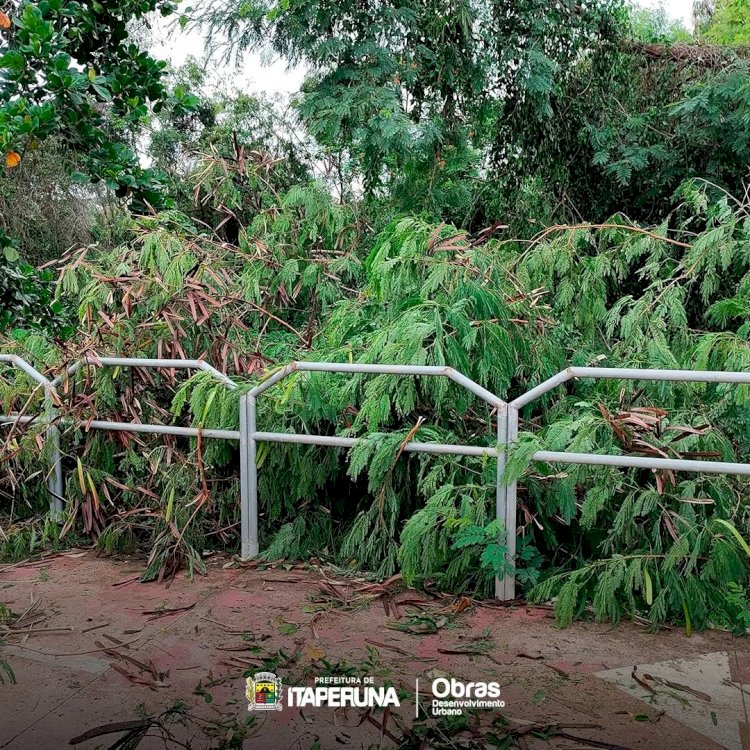 Equipes da Secretaria de Obras intensificam o trabalho de limpeza da cidade.