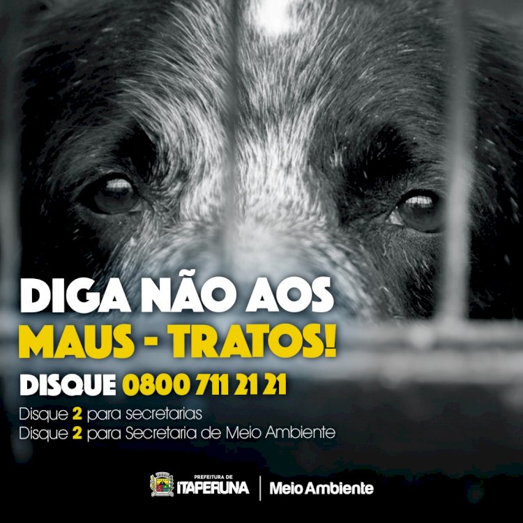 Diga NÃO aos Maus-Tratos de Animais!