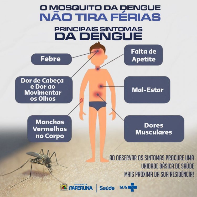 Aqui o Aedes aegypti não se cria!