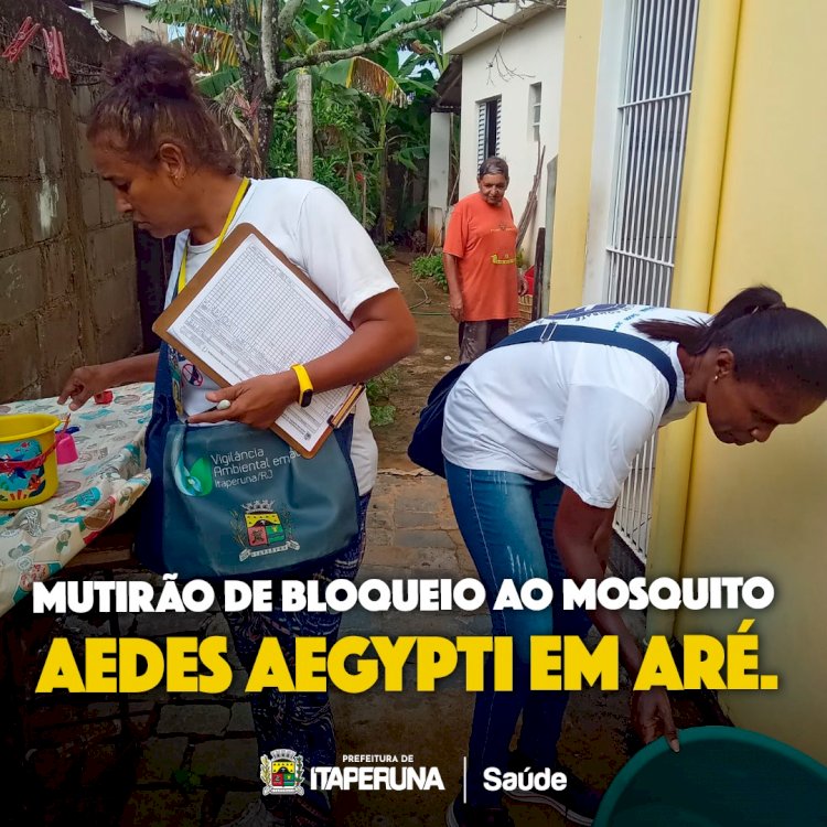 Mutirão de bloqueio ao mosquito Aedes aegypti em Aré.