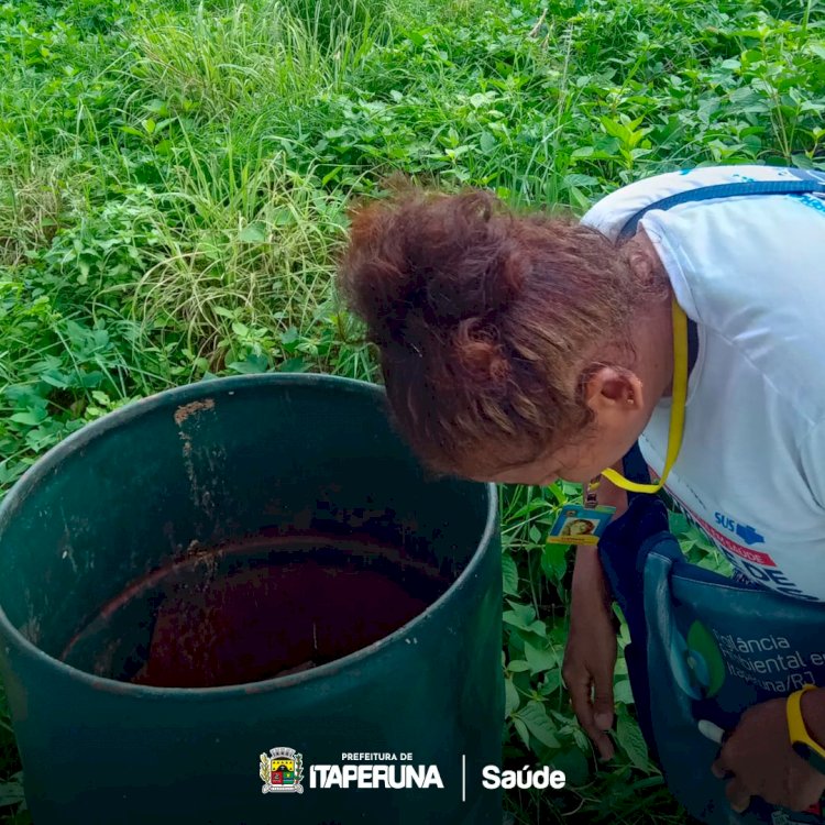 Mutirão de bloqueio ao mosquito Aedes aegypti em Aré.