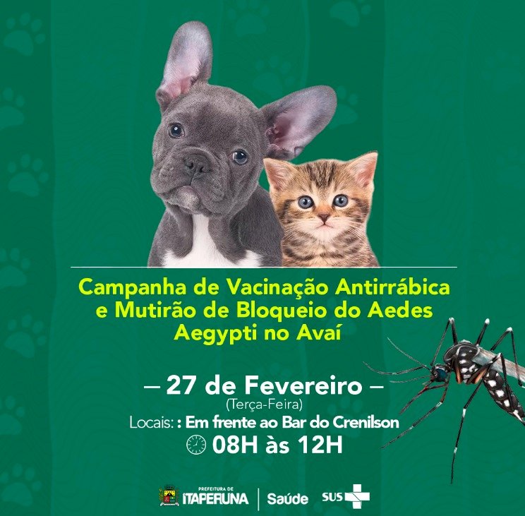 Campanha de Vacinação Antirrábica e mutirão contra o Aedes aegypti no Avaí.