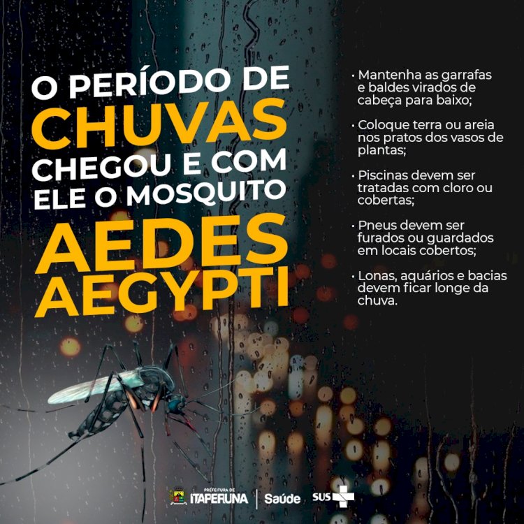 Com a chegada do período chuvoso, é fundamental redobrarmos os cuidados contra a dengue!