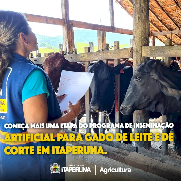 Começa mais uma etapa do Programa de inseminação artificial para gado de leite e de corte em Itaperuna.