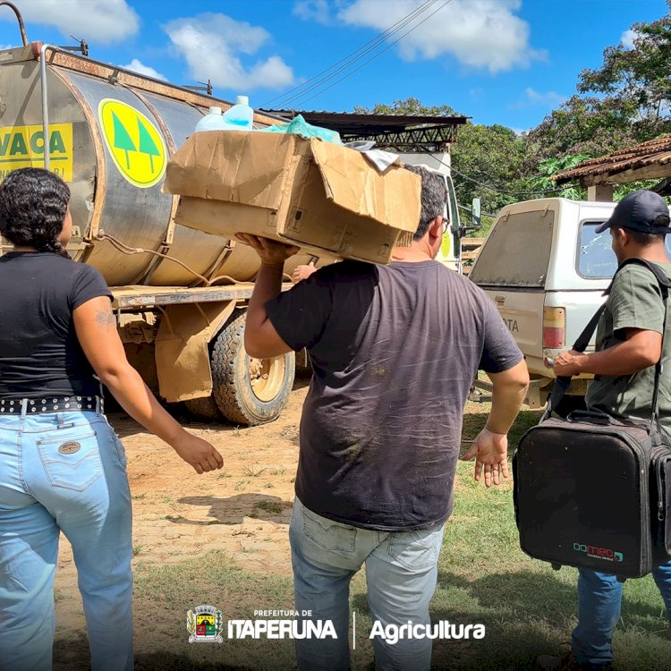 Começa mais uma etapa do Programa de inseminação artificial para gado de leite e de corte em Itaperuna.