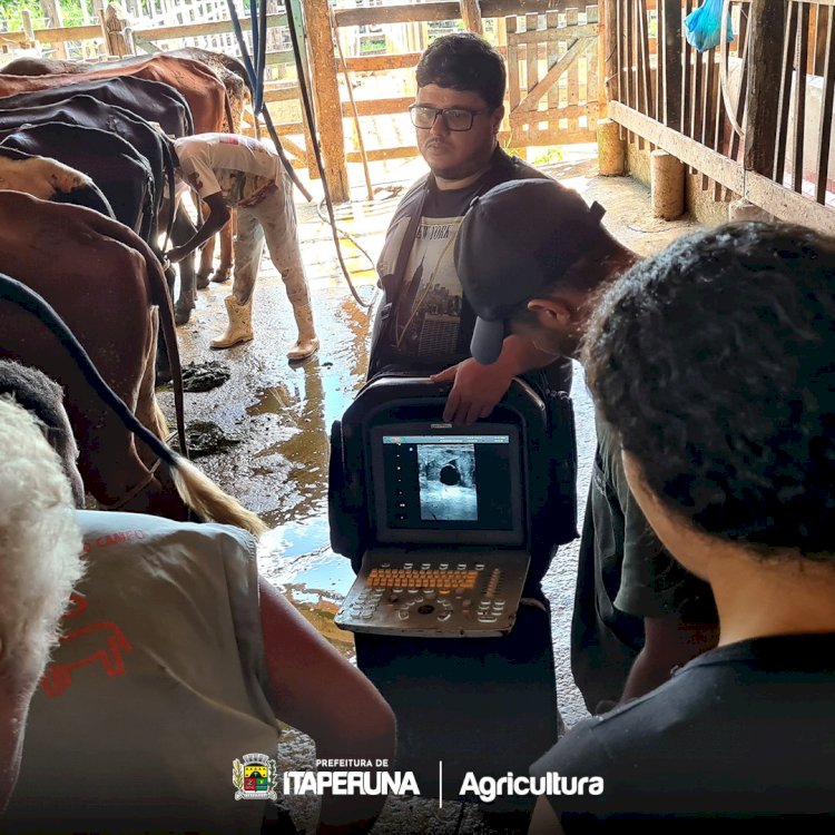 Começa mais uma etapa do Programa de inseminação artificial para gado de leite e de corte em Itaperuna.