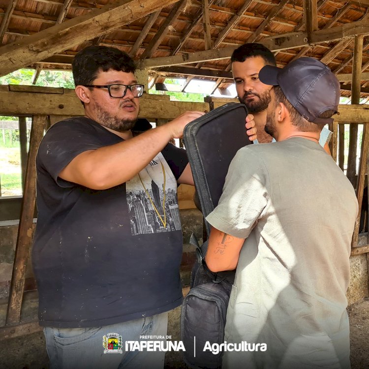 Começa mais uma etapa do Programa de inseminação artificial para gado de leite e de corte em Itaperuna.